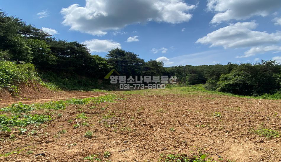 양평군 양동면 고송리 야트막한 자연림 임야/토목80%완료