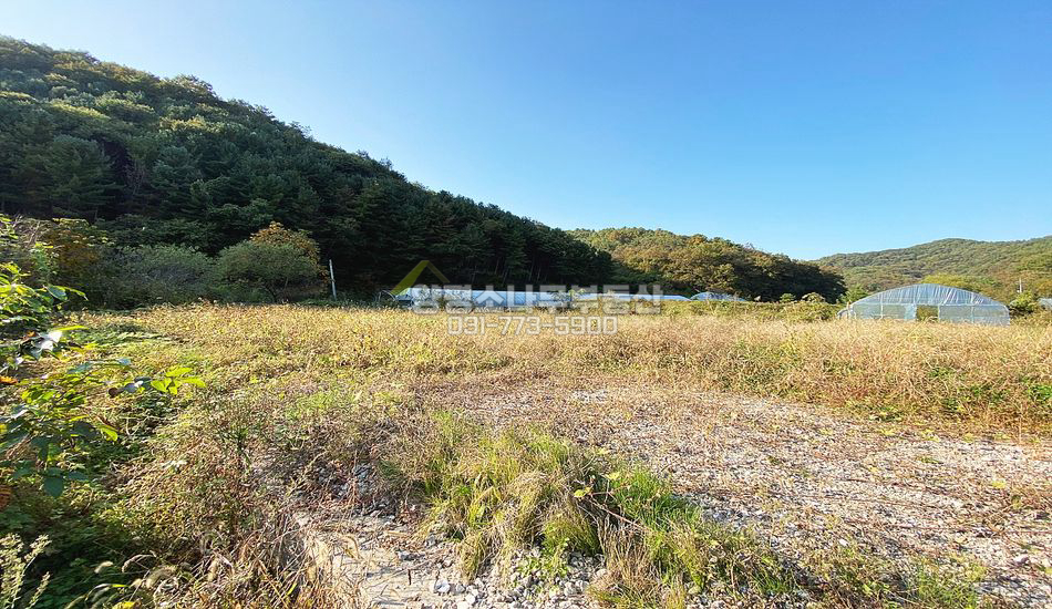 양평군 양서면 부용리 산자락 그린벨트 농지