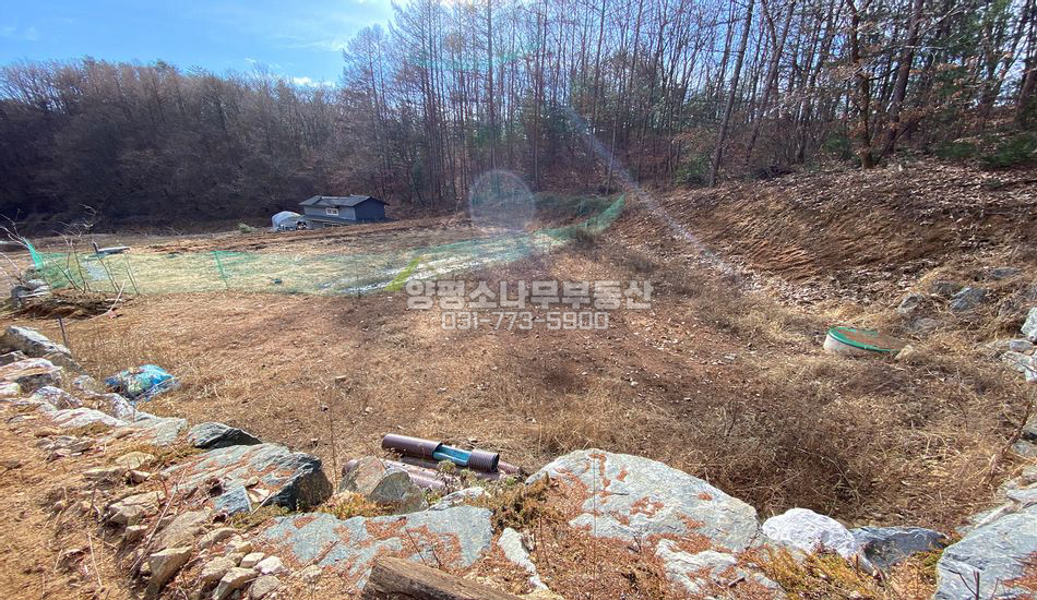 양평군 청운면 신론리 산세 기막한 단지 끝 부지
