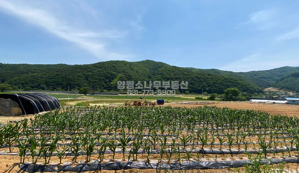 홍천군 서면 길곡리 계단식논/농막,농업인주택