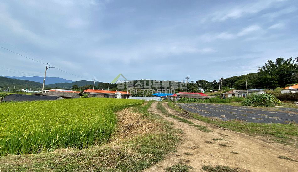 양평군 지평면 지평리 지평역 2km 저렴한 주택지