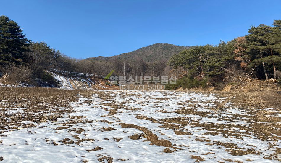 양평군 청운면 갈운리 마을끝 산자락 부지