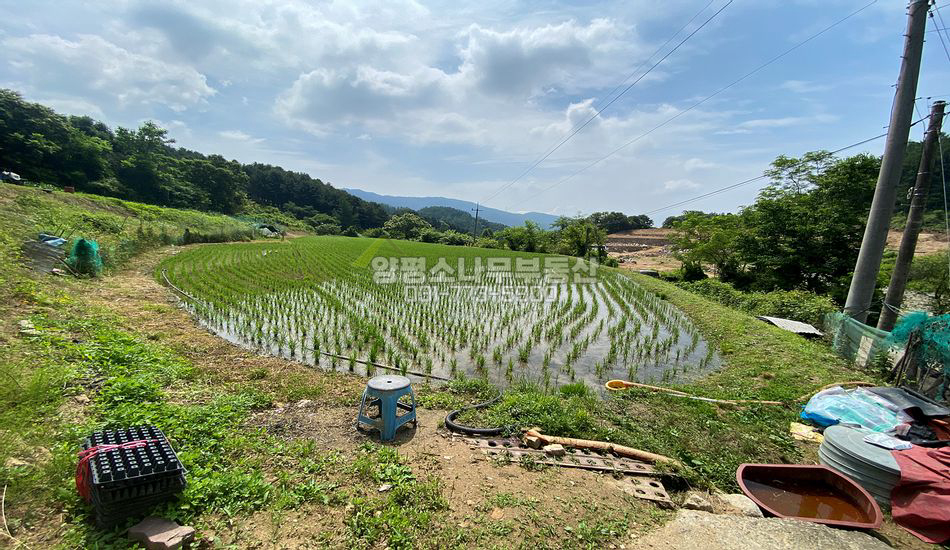 양평군 지평면 일신리 마을 깊숙한곳 트인전망/계획관리
