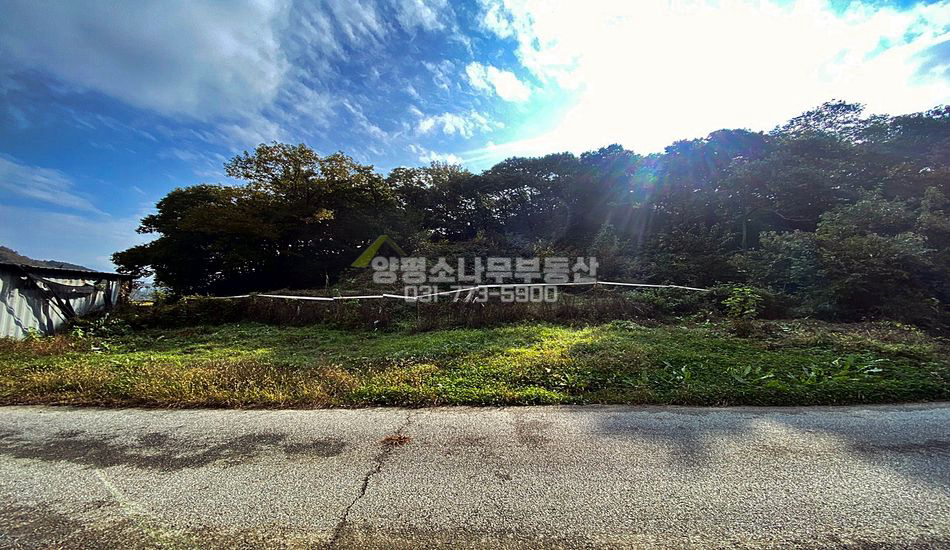 양평군 강상면 대석리 100%개발가능 임야/산북ic
