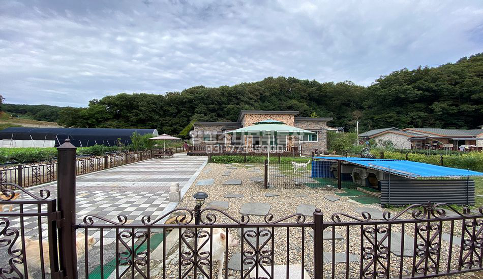 양평군 단월면 보룡리 6번국도 인근 접근성 좋은 단층주택