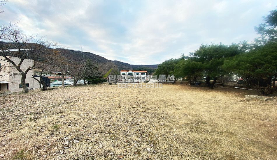 양평군 양서면 증동리 소나무 식재된 평편한 부지