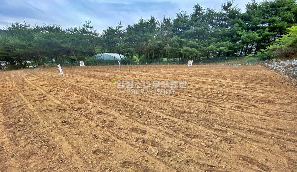 양평군 지평면 일신리 일신역 도보 넓은 계획관리