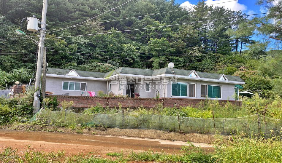 양평군 서종면 수능리 마을 끝 평지/단층/한적한 입지