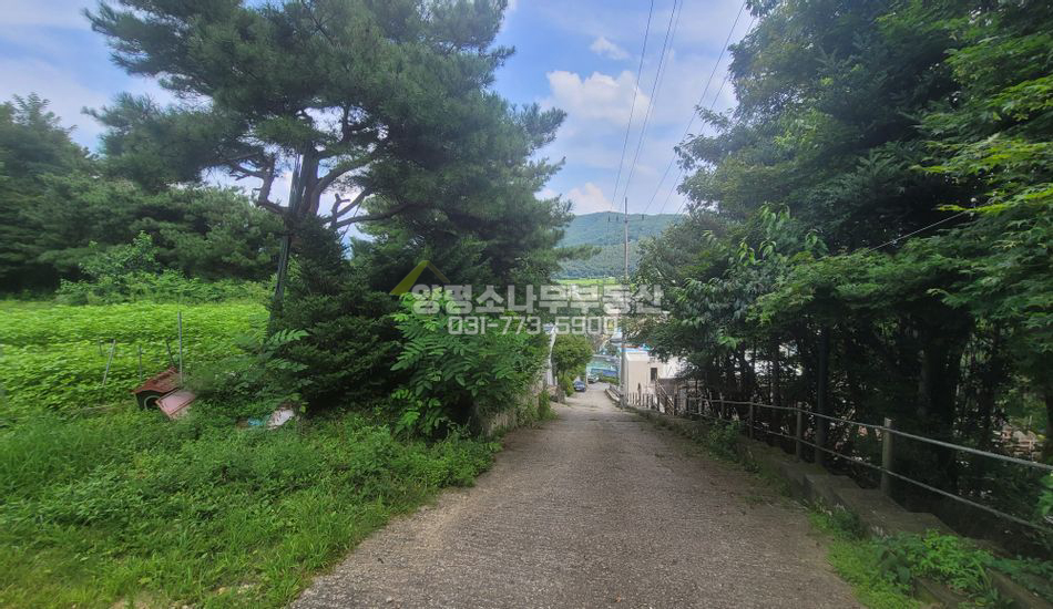 양평군 강하면 왕창리 토목완료 대지,전망굿