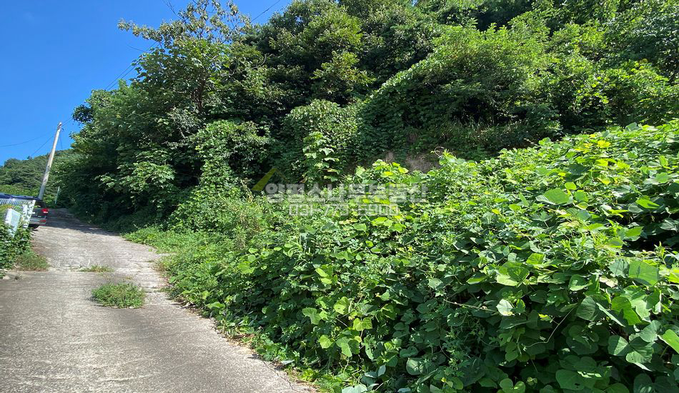 양평군 옥천면 신복리 자연림 개발부지