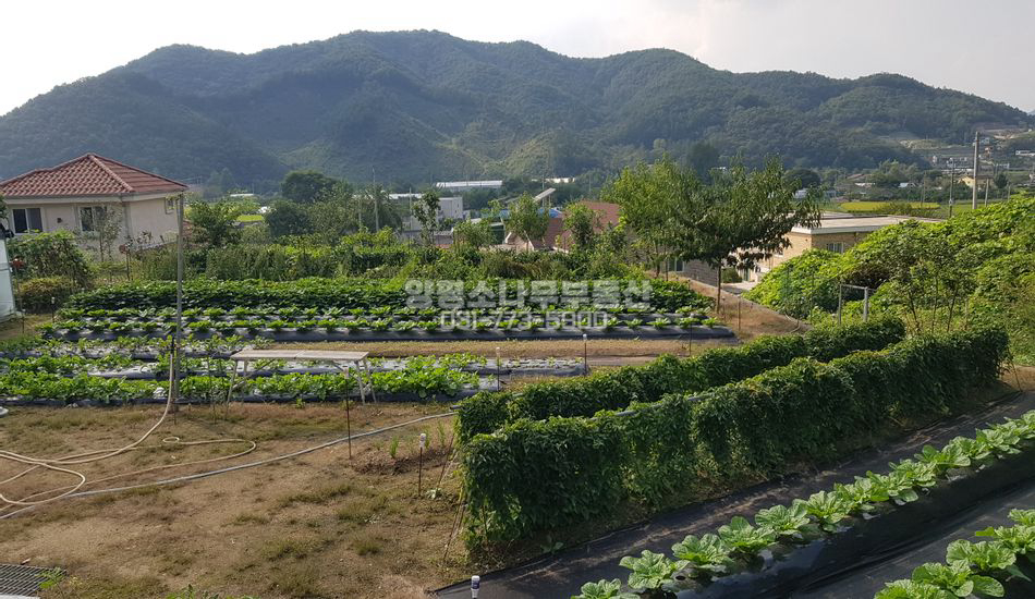 양평군 강하면 전수리 [보류]마을 상단 토목완료 주택지