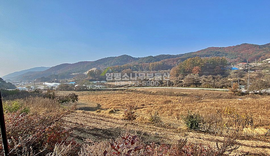양평군 양동면 계정리 대로변 관리지역 필지