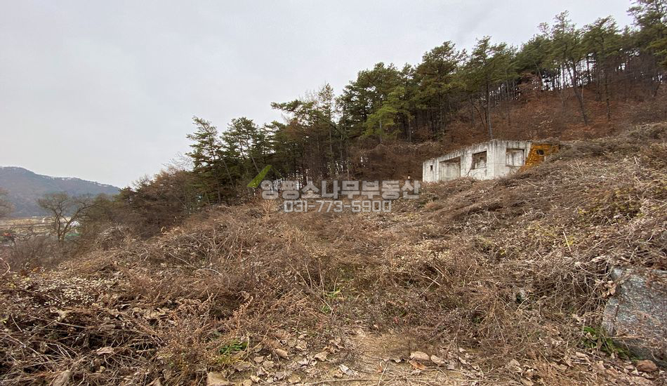 양평군 용문면 조현리 마을상단 탁 트인전망