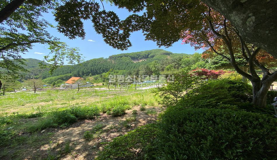 양평군 청운면 신론리 산세좋은곳 주택지/등산로 인근