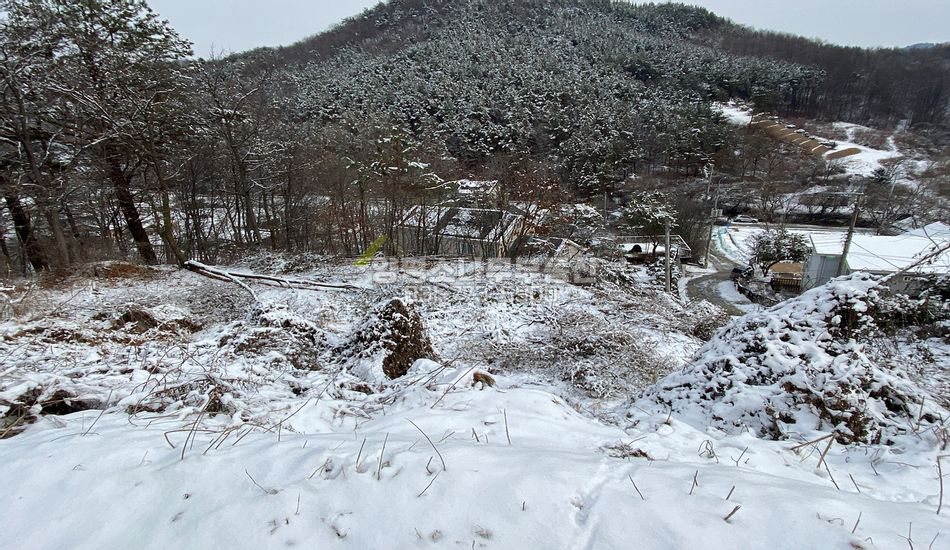 양평군 용문면 덕촌리 마을상단 주택지/주차박스있음
