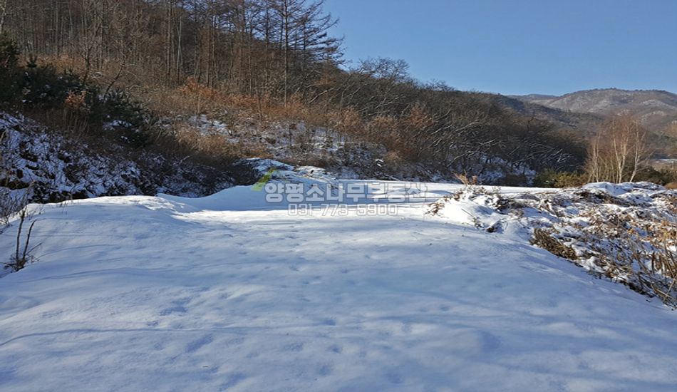 양평군 강상면 대석리 계곡 인근 맹지
