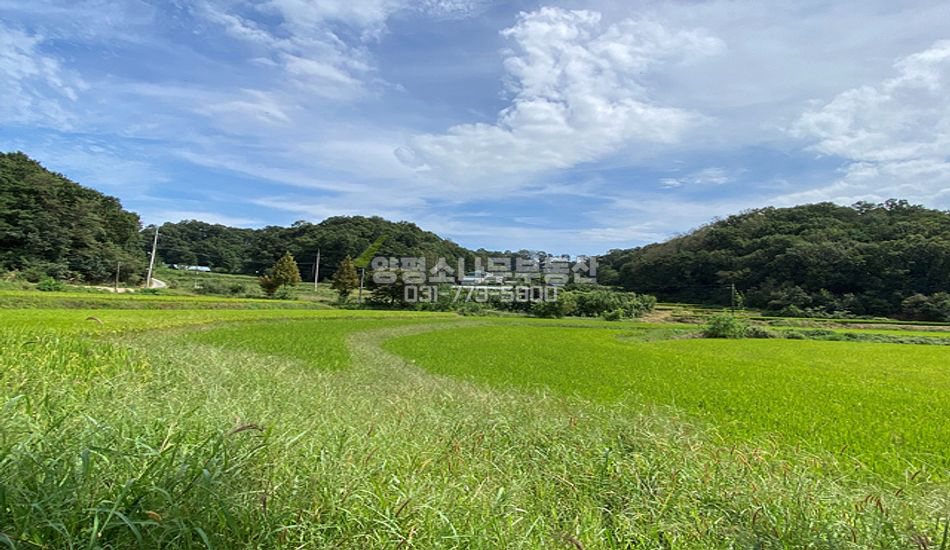 여주시 대신면 당남리 마을내 진흥구역 토지