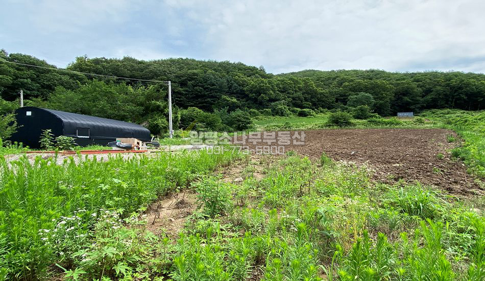 양평군 용문면 망능리 접근성 좋은 한적한 입지
