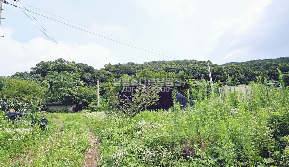 양평군 용문면 망능리 맹지 임야/일부 계획관리지역