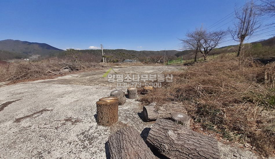 양평군 단월면 삼가리 기반시설 완비/계획관리부지