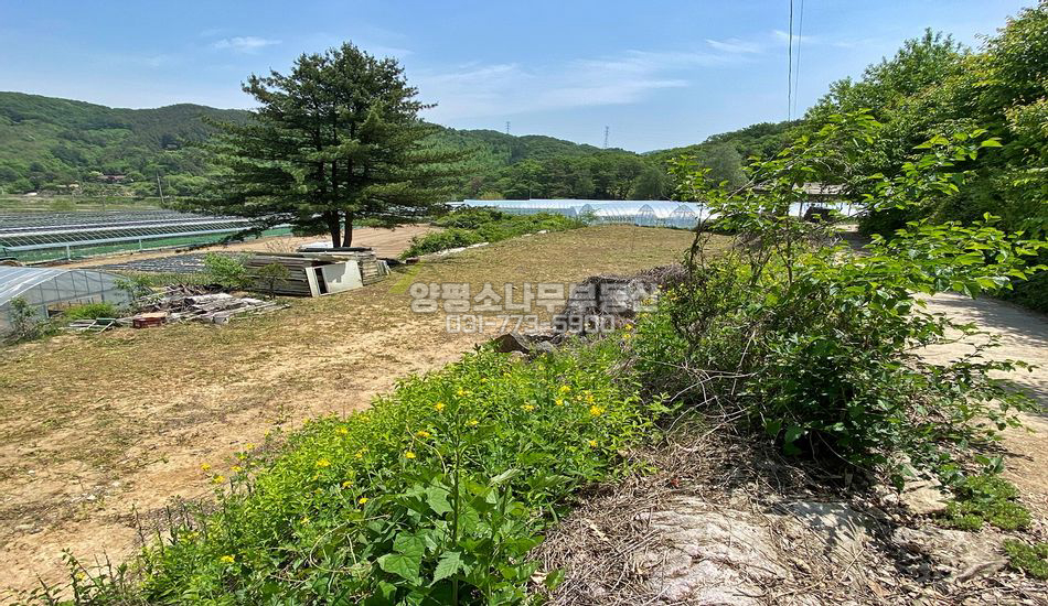 양평군 지평면 무왕리 한적한 곳 주택지/근생인허가得