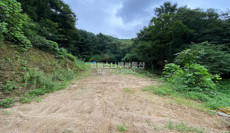 양평군 서종면 수능리 마을 끝 주택지
