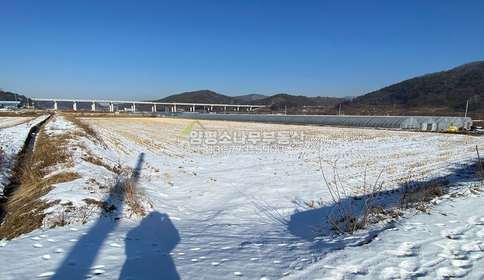 양평군 양동면 삼산리 접근성 좋은 진흥구역 농지