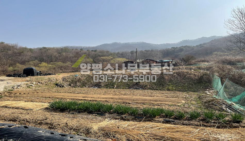 양평군 지평면 일신리 일신역 도보/농지/계획관리