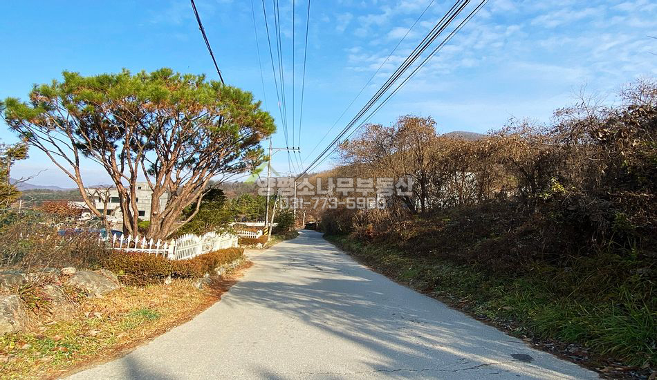양평군 서종면 문호리 아스팔트 진입도로 좋은 부지