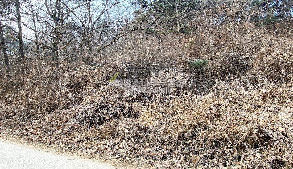 양평군 개군면 공세리 자연림 개발부지