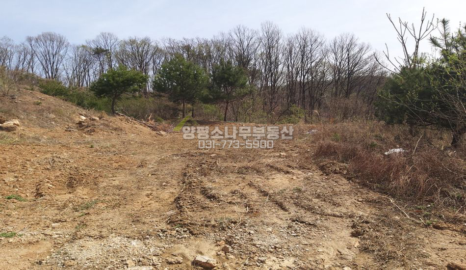 광주시 퇴촌면 영동리 깊숙한곳 남향 트인전망