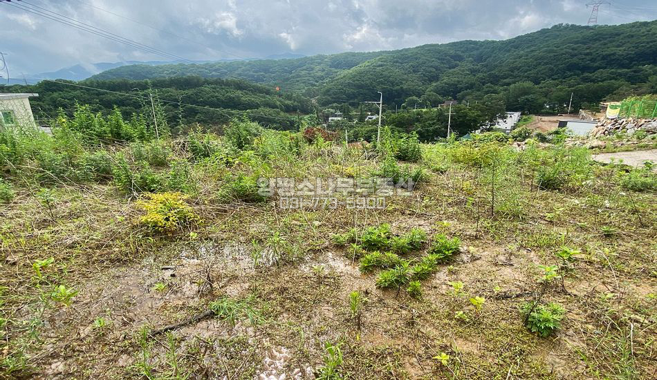 양평군 강하면 동오리 마을 상단 주택지