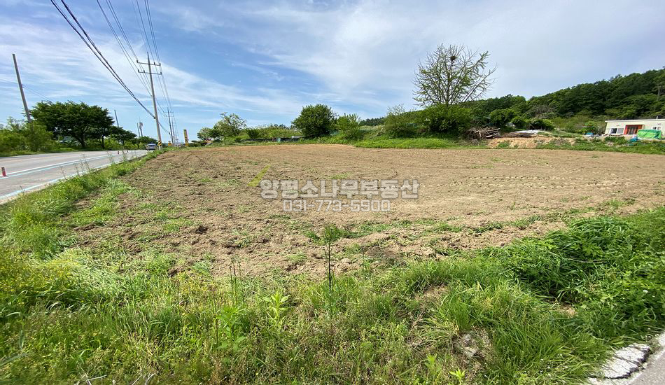 양평군 지평면 옥현리 한적한 대로변 계획관리