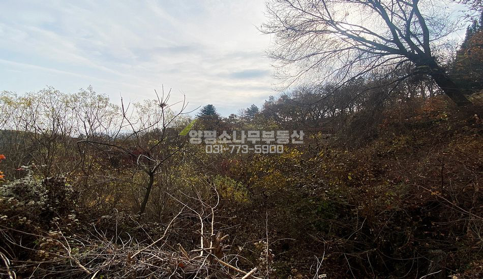양평군 강상면 병산리 경사지 주택지