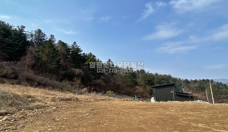 양평군 서종면 도장리 완만한 자연림 임야