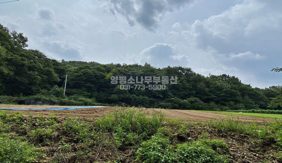 양평군 양동면 계정리 비포장 마을안쪽 주택지/주말농장