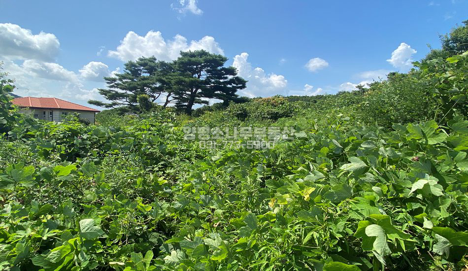 양평군 옥천면 용천리 풍광좋은 인기단지/남향