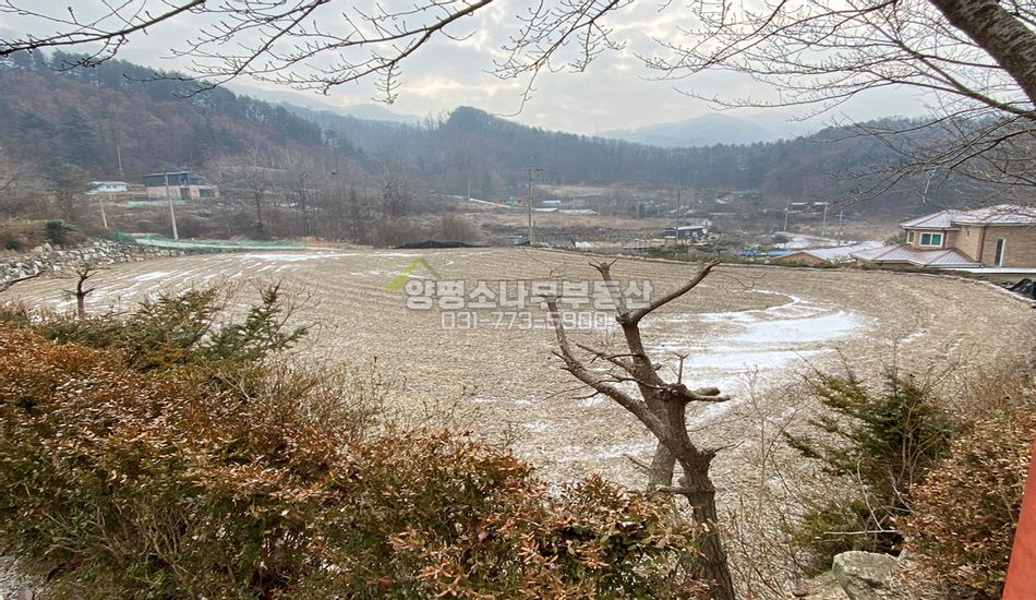 양평군 강하면 항금리 야트막한 언덕 자연스런 주택지