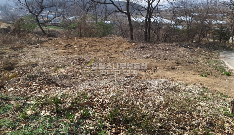 양평군 지평면 대평리 산자락 소규모 단지/3단지형