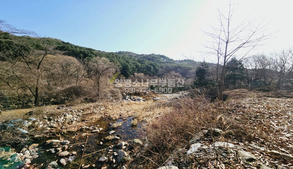 양평군 용문면 신점리 용문산관광지 인근 임야/맹지