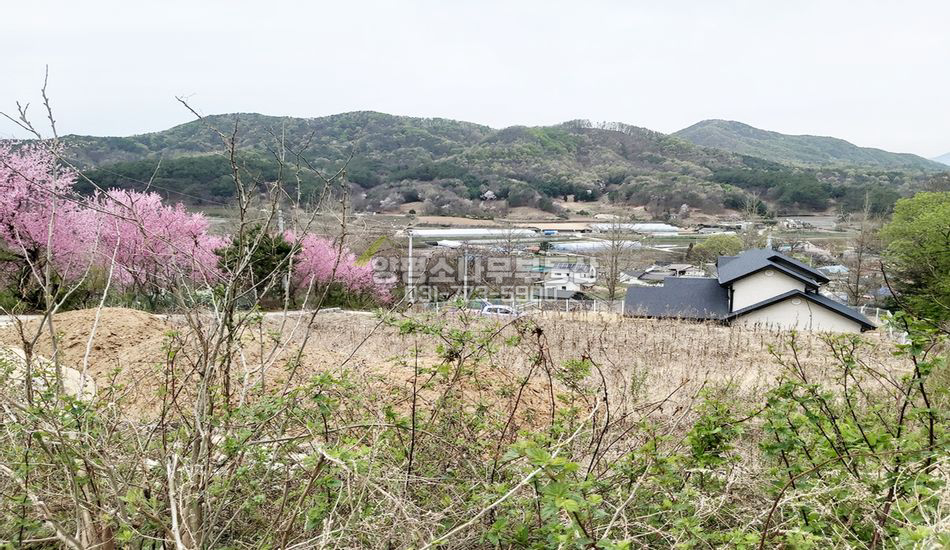 양평군 지평면 망미리 마을 깊숙한곳 한적한 입지