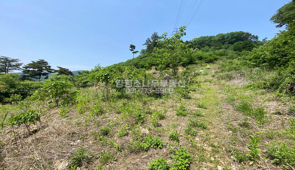 양평군 양평읍 대흥리 마을상단 남향 전망좋은땅/인허가得