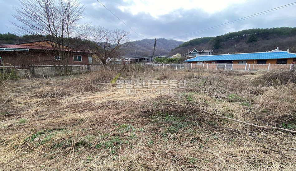 양평군 용문면 연수리 자연스런 마을 평지 주택지