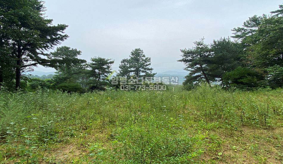 양평군 옥천면 신복리 한적한 마을안쪽 넓은 주택지