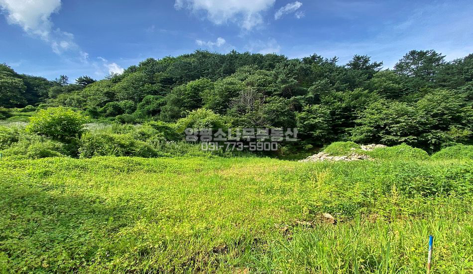 양평군 용문면 망능리 평편한 전망좋은 부지