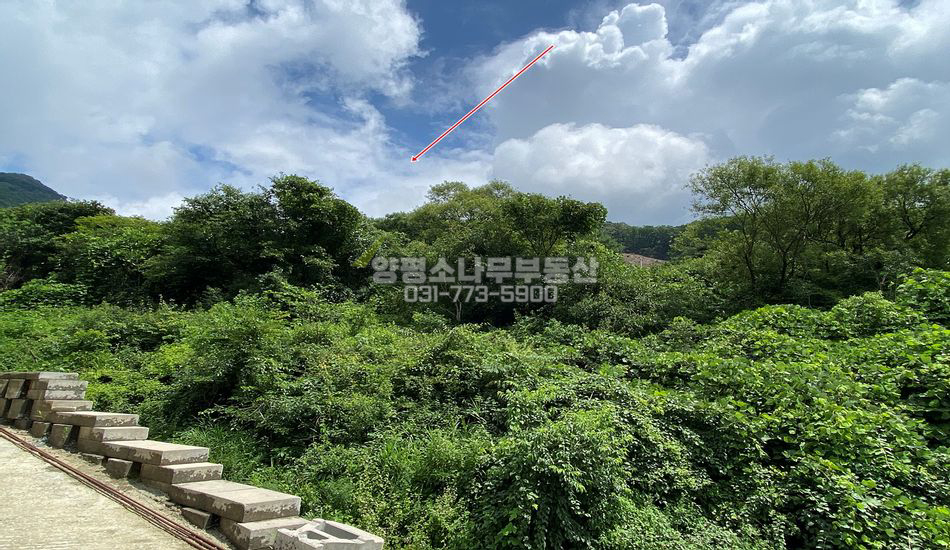 양평군 옥천면 신복리 자연림 임야 맹지