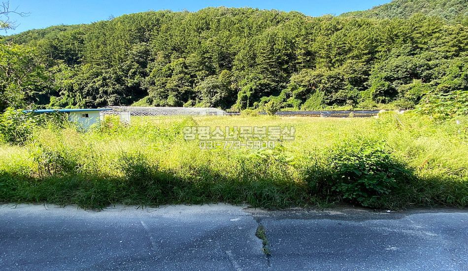 양평군 청운면 신론리 기다란 형상 주택지/개울인근