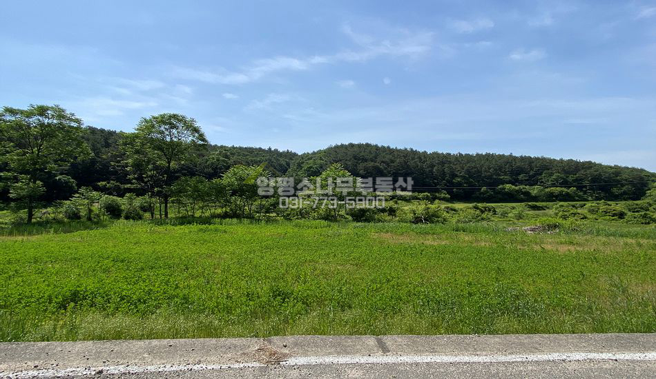 양평군 양동면 석곡리 산자락 컨테이너 주말농장
