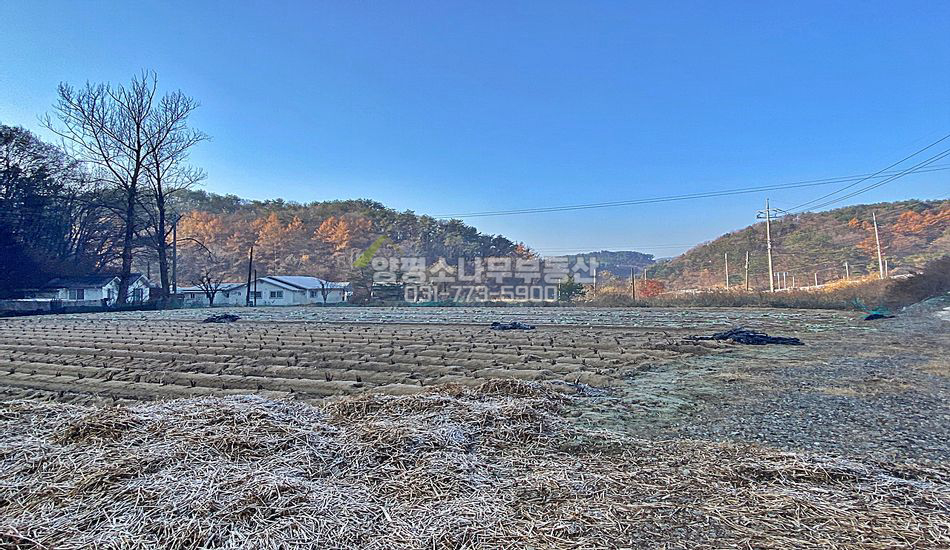 양평군 용문면 망능리 2차선변 계획관리 토지