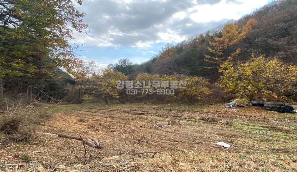 양평군 양동면 매월리 야트막한 개발부지/자연림